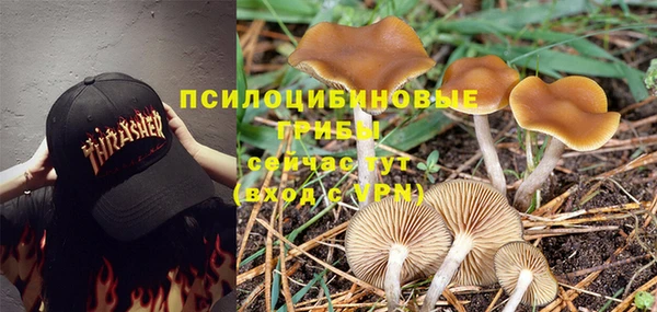 дмт Балабаново