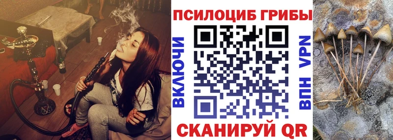 Галлюциногенные грибы Psilocybine cubensis  Велиж 